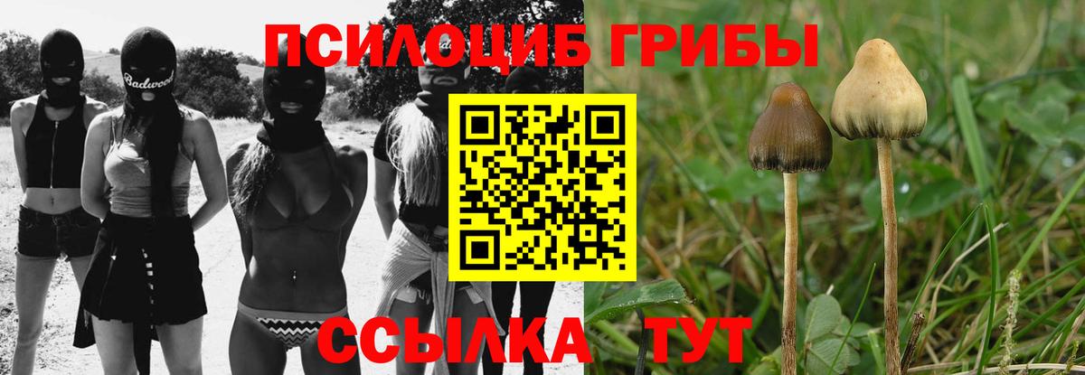 как найти закладки  Галлюциногенные грибы ЛСД  Вход с VPN  Дмитров 
